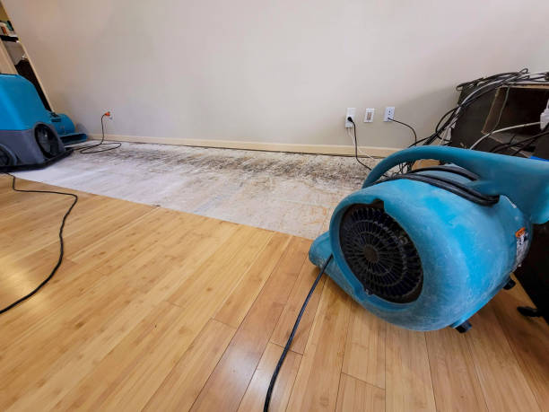 Professional Flood Damage Cleanup technician working in Fair Oaks, VA